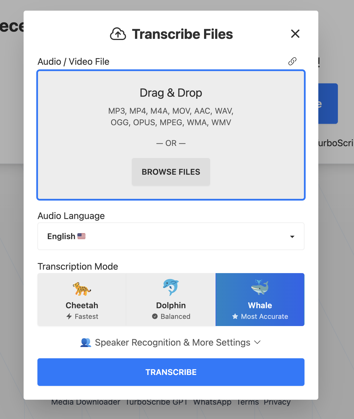TurboScribe Selection Interface